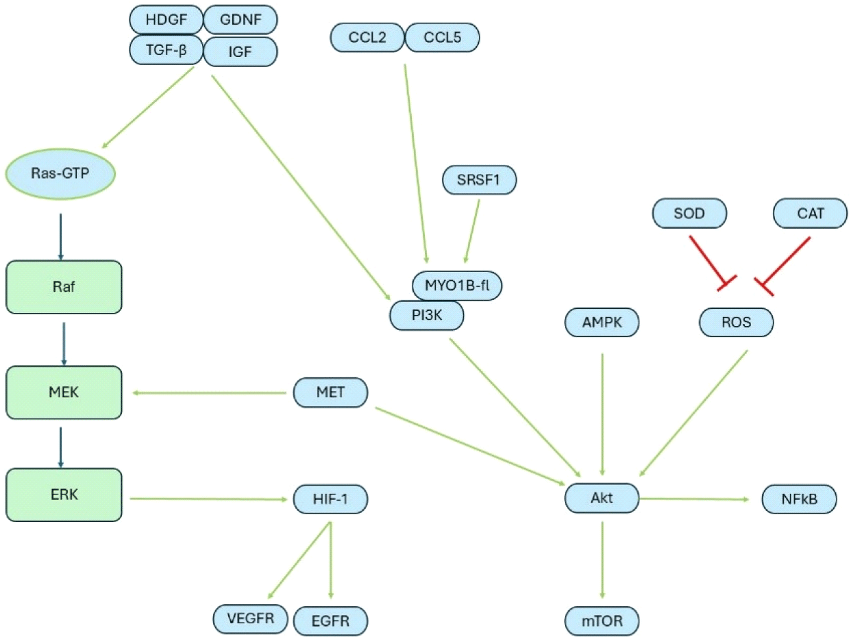 jbb-12-0-1-g1