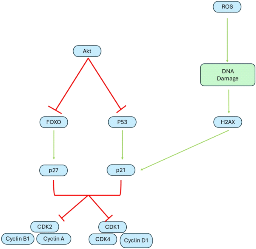 jbb-12-0-1-g4